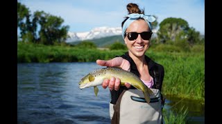 World Class Fly Fishing in Park City, UT with Park City Fly Fishing Company