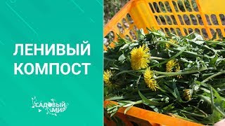 ЛЕНИВЫЙ и БЫСТРЫЙ  КОМПОСТ. Как просто приготовить в саду компост.