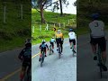 Nothing like a brotherhood rivalry 🤩 #Cycling #RoadCycling | 🎥 @pipe.matti (TikTok)