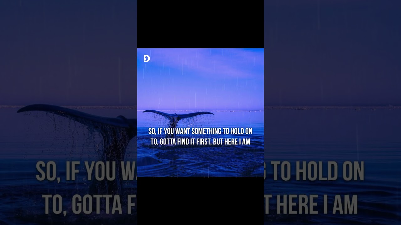 Tropic Love &ndash; Diviners, Contacreast (Lyrics) #Shorts