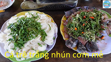 577 | Cắm câu cá trê bằng mồi trùng P2 | Fishing