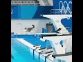 #diving my cat learn diving