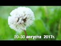 170 Видео отзывы гостей- Лето