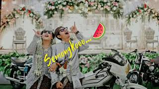 Awas pliket,tarik ses semongko