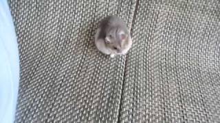 MVI_8821.avi