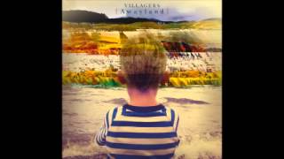 Villagers - Earthly Pleasure