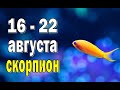 СКОРПИОН 🌍 ДРУЖБА ТРЕБУЕТ ВНИМАНИЯ 🌍 неделя с 16 по 22 августа. Таро прогноз гороскоп гадание