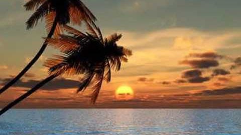 Paul Hardcastle  -  You Are the One