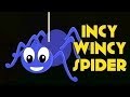 Incy Wincy Spider Nursery Rhyme