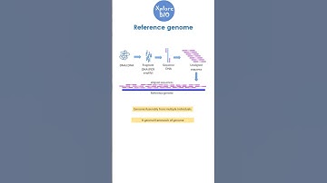 9. Reference genome!