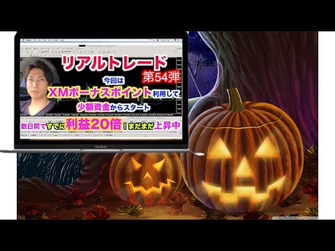 【FXリアルトレード Vol.54】XMなら少額資金で複数ポジションも可能。