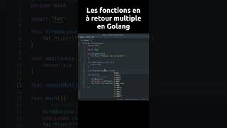 #9 - Définir une fonction qui retourne plusieurs valeurs en Golang (version short)