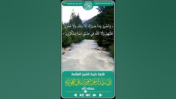 تلاوة طيبة للعلامة اليمن يحيى بن علي الحجوري حفظه الله