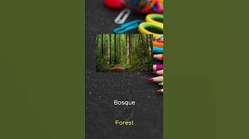 How to say forest in spanish (native pronunciation)