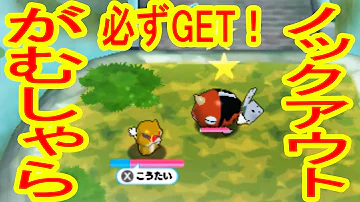 みんなのポケモンスクランブルランク上げ