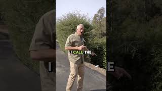 Flamingo Lights Outdoor Ideas || Creative Landscape Lighting for Garden Decor