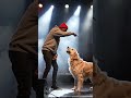 ##song##