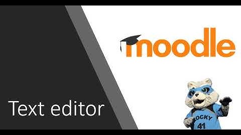 Moodle text editor
