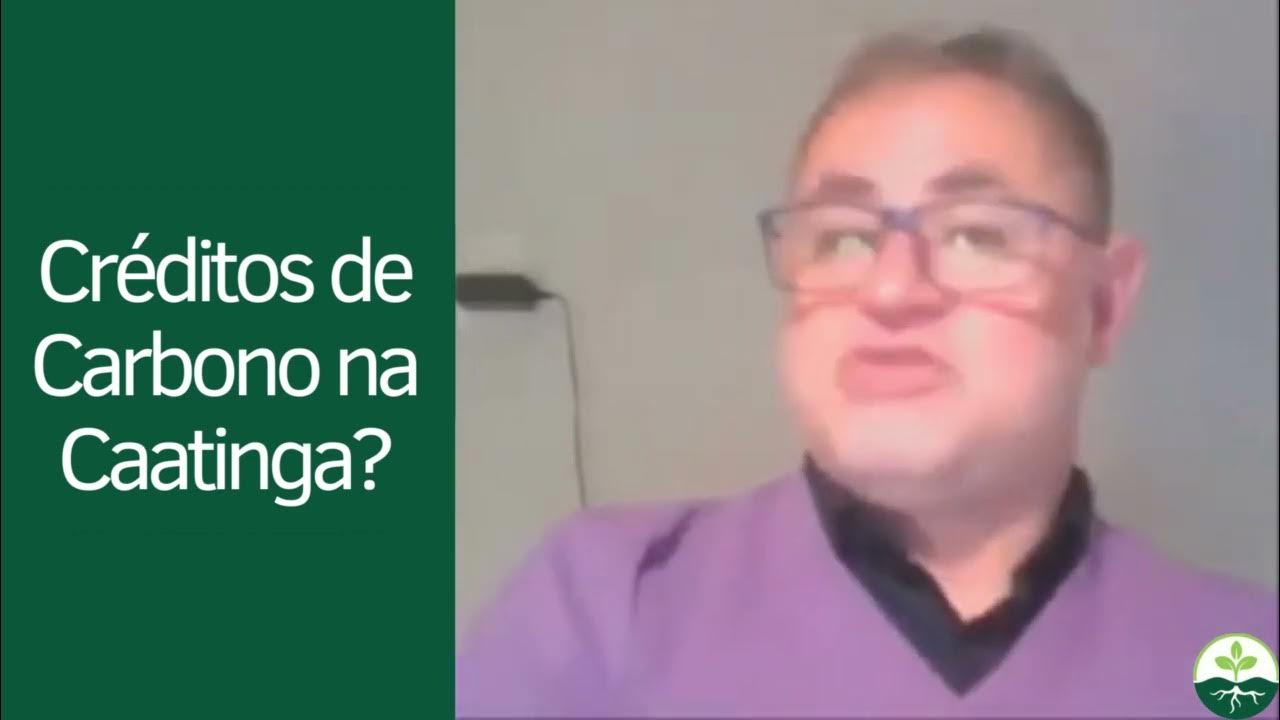 Créditos de Carbono na caatinga? - YouTube