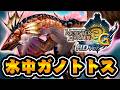 3G限定『水中戦ガノトトス』を知っていますか？【モンハン3G】#11