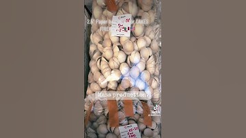 2.5”Ball shell for cakes FIREWORKS 🇲🇽🇺🇸#manufacturing #design #factory #supply #pyro #firework