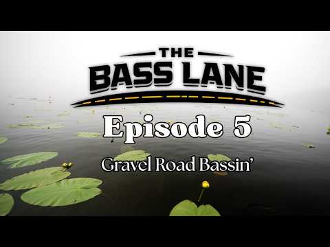 The Bass Lane - Episode 5
