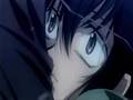 Fragile Loveless
