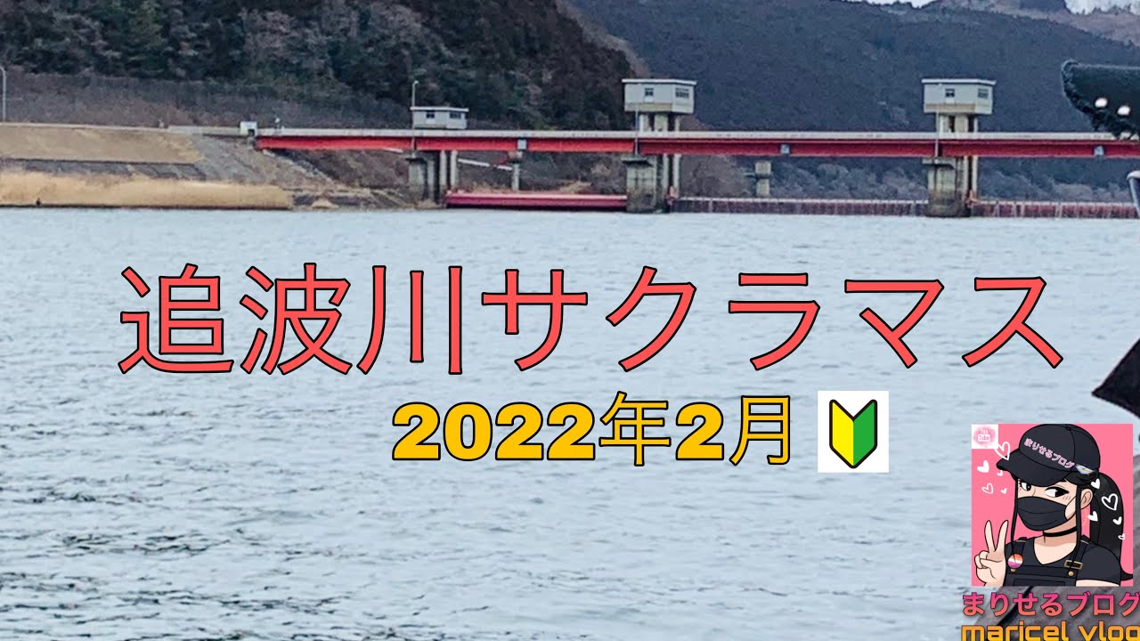 追波川サクラマス釣り Youtube