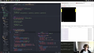 Making Pong - Day 10 - Nuthatch Game Engine