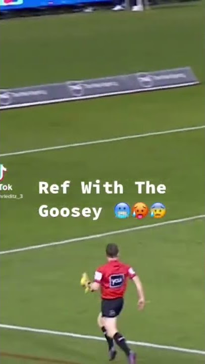 Ref With The Goosey!