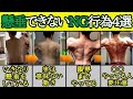 【最短最速】懸垂できない状況から1回できるようになる方法【完全版】