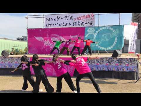「 岡崎流 (2回目)」あんたもどーだんはずかしがらんと踊らん会2016