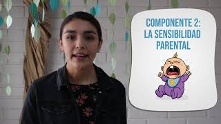 Cápsula 2 Competencias Parentales Vinculares