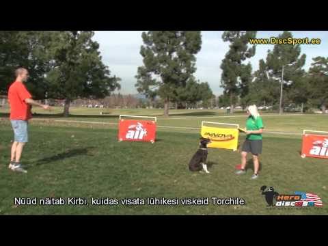 Video: Kuidas koolitada oma koera rullima