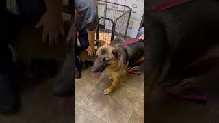 Isabel Von Isen Video