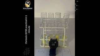 Osmosis GCSE practical in 1 minute