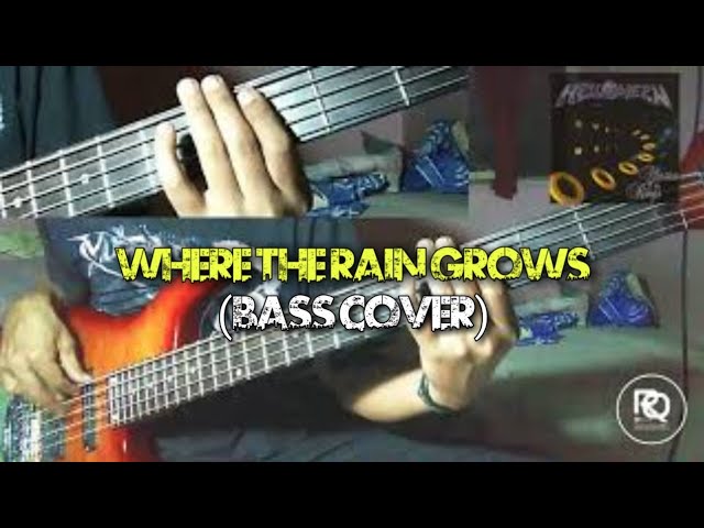Helloween - Where The Rain Grows | (Bass Cover) class=
