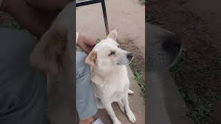 Reels Video Reels Video Song Saheli Mukherjee