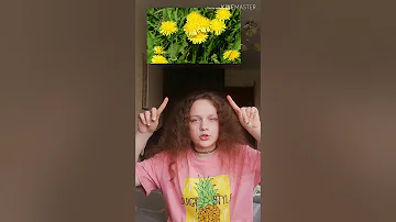Что можно давать морской свинке? Банан?