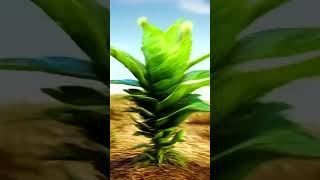 Make A Plant Your Friend