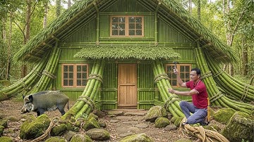 Survival Building Bamboo Tree House - Foraging - Avoiding Wildlife