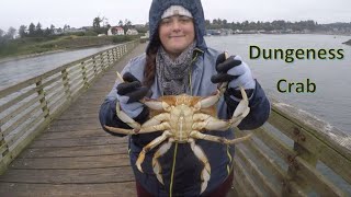 Crabbing Newport Pier for BIG Dungeness Crab | Off-Season Catch and Clean on the Oregon Coast
