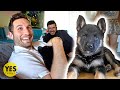 Surprising Best Friend with a New Puppy!!