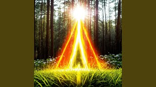 Harmonic Radiance in Nature 2