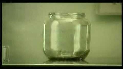 Fleas in a jar similarity in fleas and human behaviour   YouTube