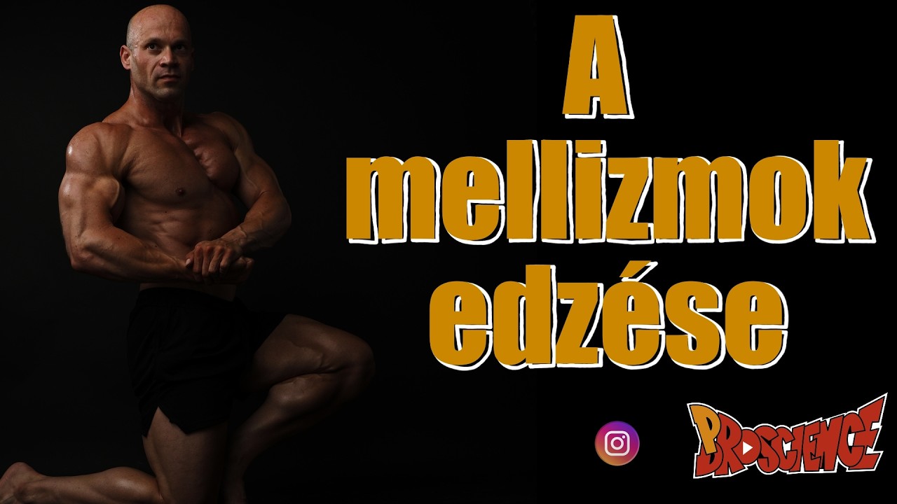 A mellizmok edzése - Dietgainz