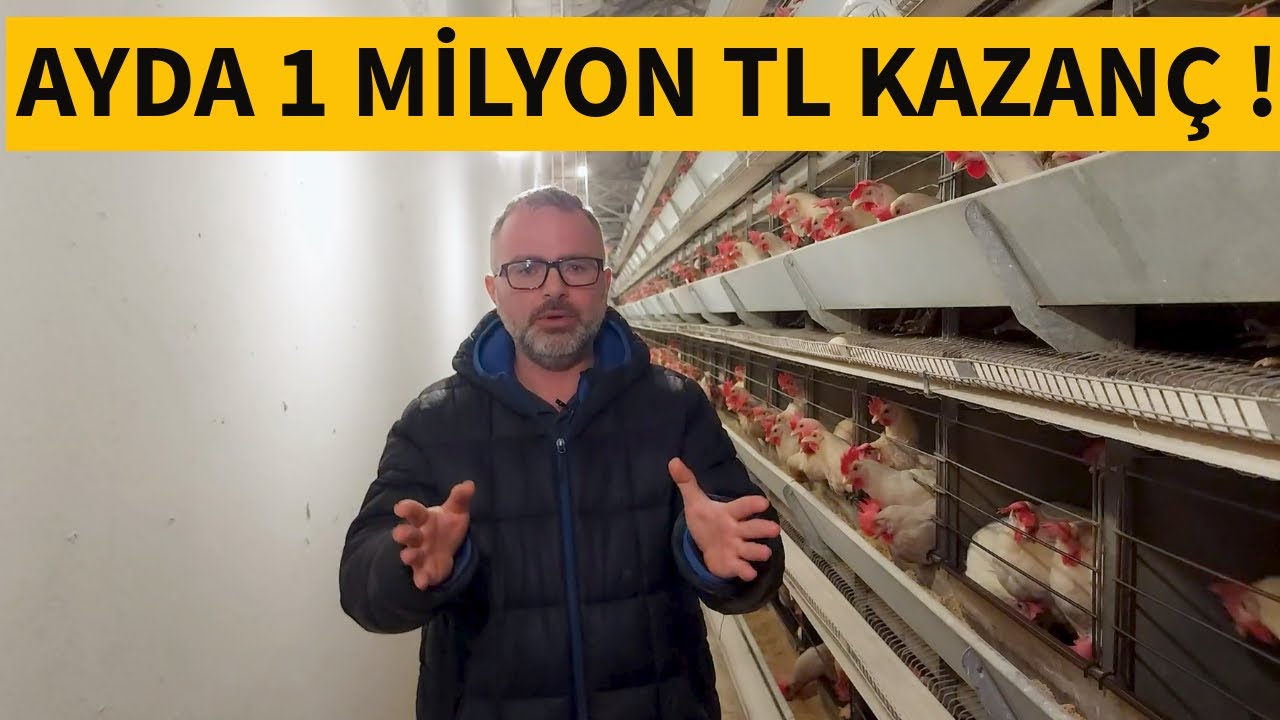 21.000 TAVUK AYDA KAÇ PARA KAZANDIRIR ?