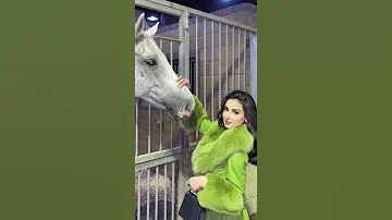 عشقي انا عشق الشيوخ 