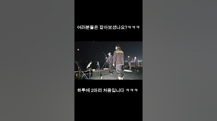 #갈매기 #낚시 #원투낚시 #fishing #서해가볼만한곳 #라이브 #바다 #실시간 #캠핑 #서해 #방조제낚시 #신진도