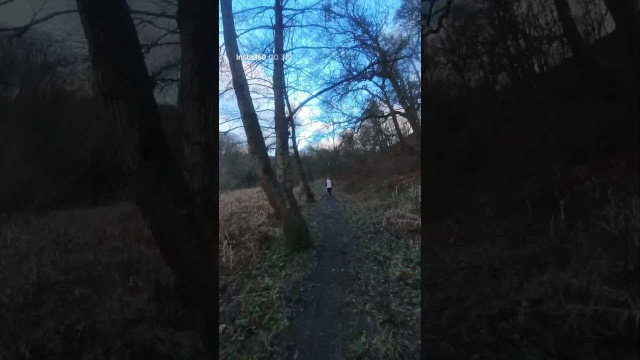 New trail shoes try out LA Sportiva Prodigio Pro